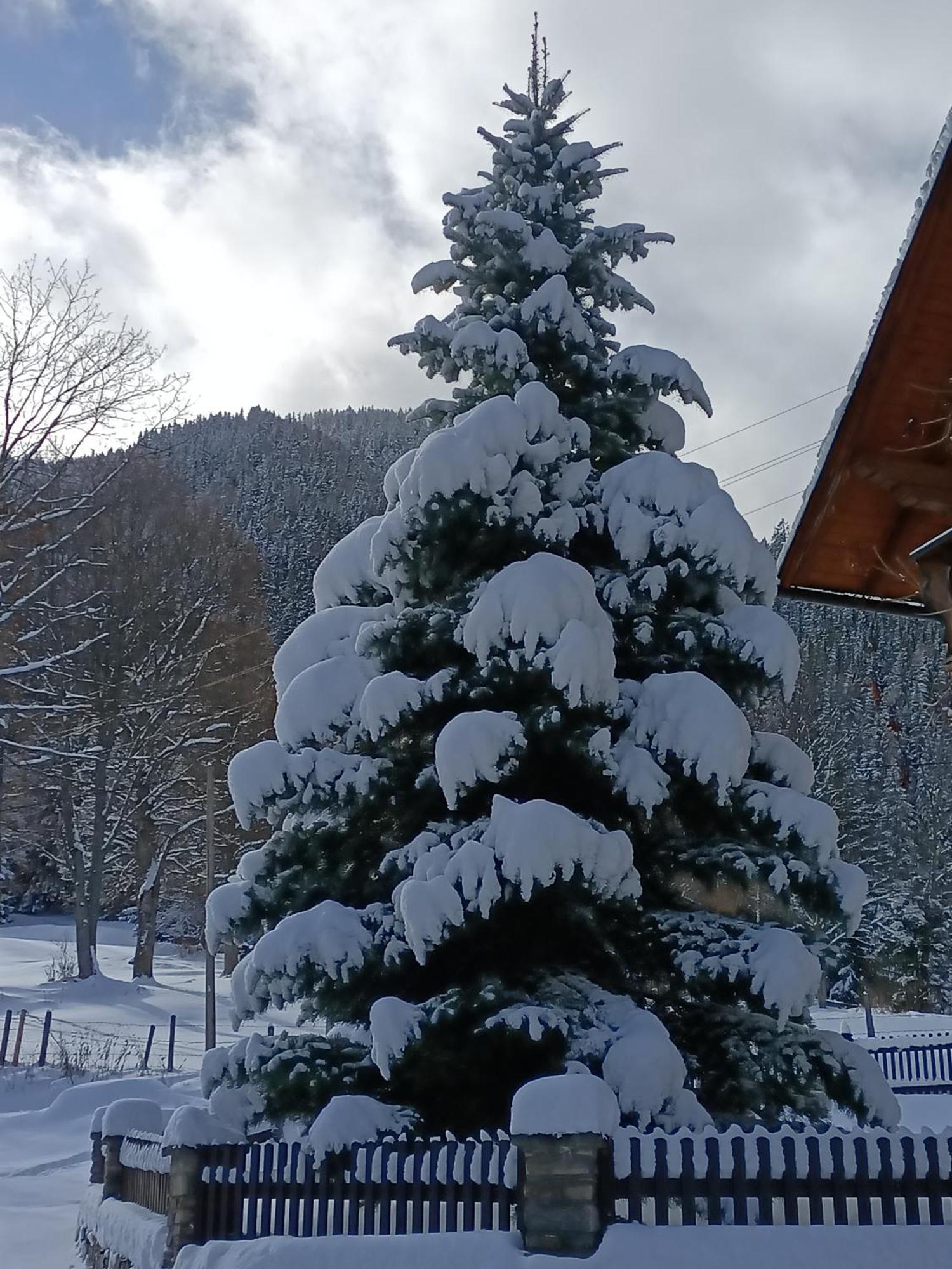 Apartamento Haus Katris Mauterndorf  Exterior foto